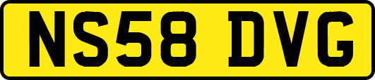 NS58DVG