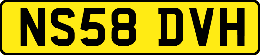NS58DVH