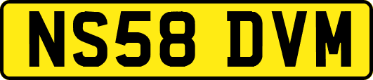 NS58DVM