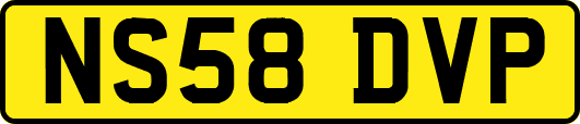 NS58DVP
