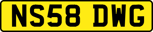 NS58DWG