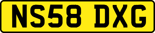 NS58DXG