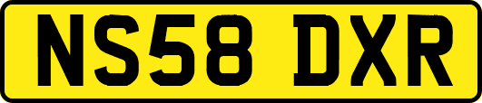 NS58DXR
