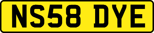 NS58DYE