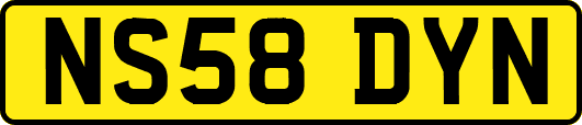 NS58DYN