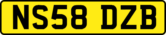 NS58DZB