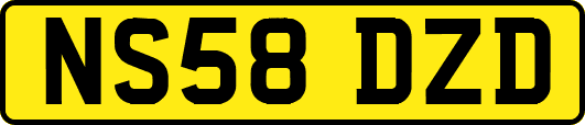 NS58DZD