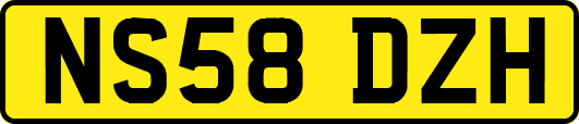 NS58DZH