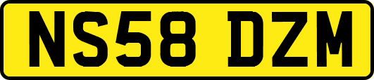NS58DZM