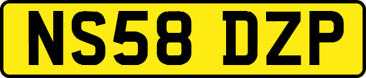 NS58DZP