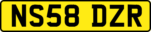 NS58DZR