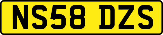 NS58DZS
