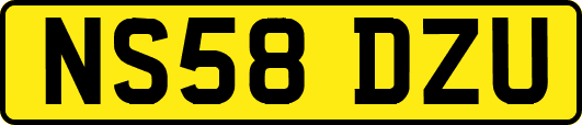 NS58DZU