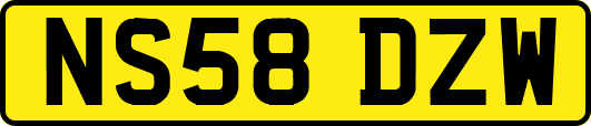 NS58DZW