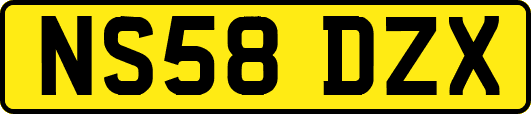 NS58DZX