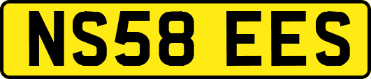 NS58EES
