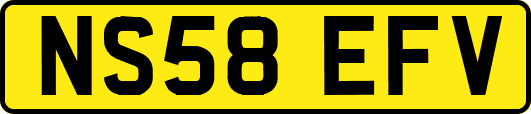 NS58EFV