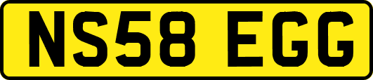 NS58EGG