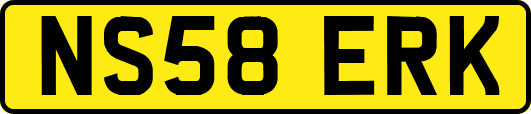 NS58ERK