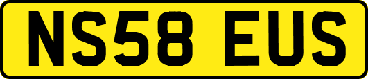 NS58EUS