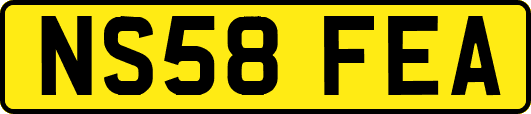NS58FEA