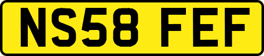 NS58FEF