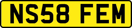 NS58FEM