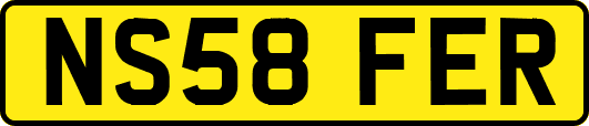 NS58FER