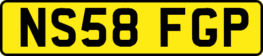 NS58FGP