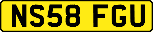 NS58FGU