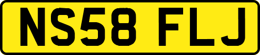 NS58FLJ