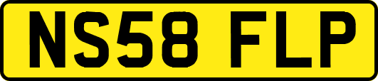 NS58FLP