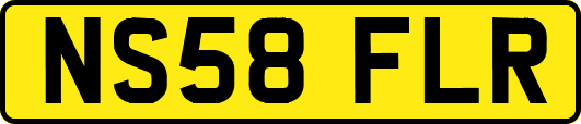 NS58FLR