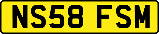 NS58FSM