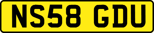 NS58GDU