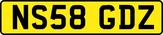 NS58GDZ