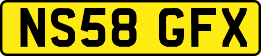 NS58GFX