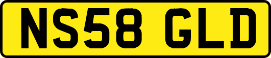 NS58GLD