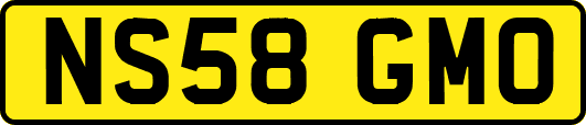 NS58GMO