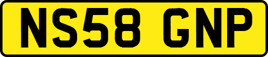 NS58GNP