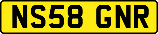 NS58GNR