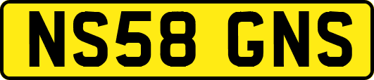 NS58GNS