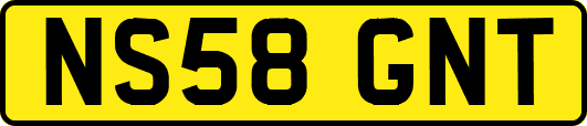 NS58GNT