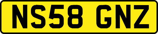 NS58GNZ