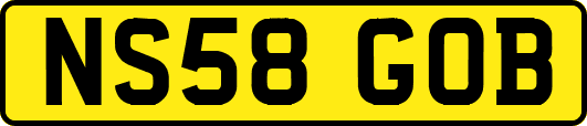 NS58GOB