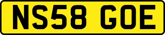 NS58GOE