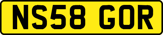 NS58GOR