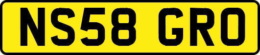 NS58GRO