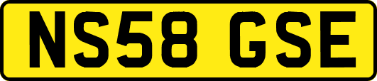 NS58GSE