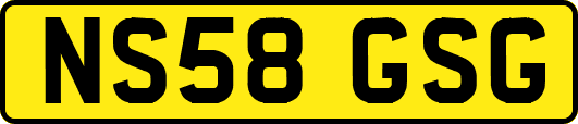 NS58GSG